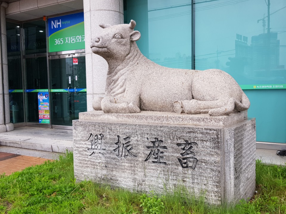 동물상